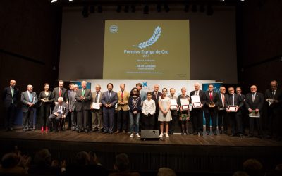 Una alumna del Colegio Tierrallana, premiada en el Concurso de Dibujos de Fesbal