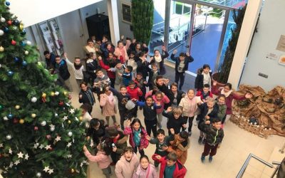 La comunidad de regantes de Palos inaugura el ‘Árbol de los deseos’ a beneficio del Banco de Alimentos